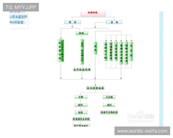 新手注册K8电子俱乐部的详细流程与注意事项全攻略